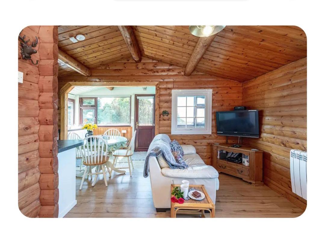 Cosy Cabin In Snowdonia With Views Wi-Fi Dog Friendly & Parking Trawsfynydd ภายนอก รูปภาพ