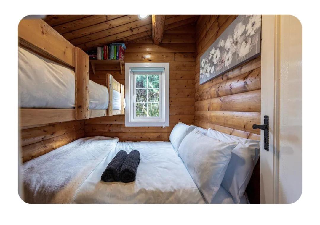 Cosy Cabin In Snowdonia With Views Wi-Fi Dog Friendly & Parking Trawsfynydd ภายนอก รูปภาพ